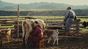 Happiness for a Herder