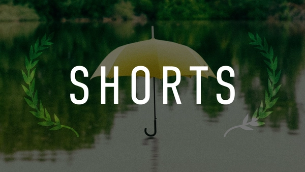 Shorts Award Program