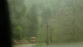 Wild East